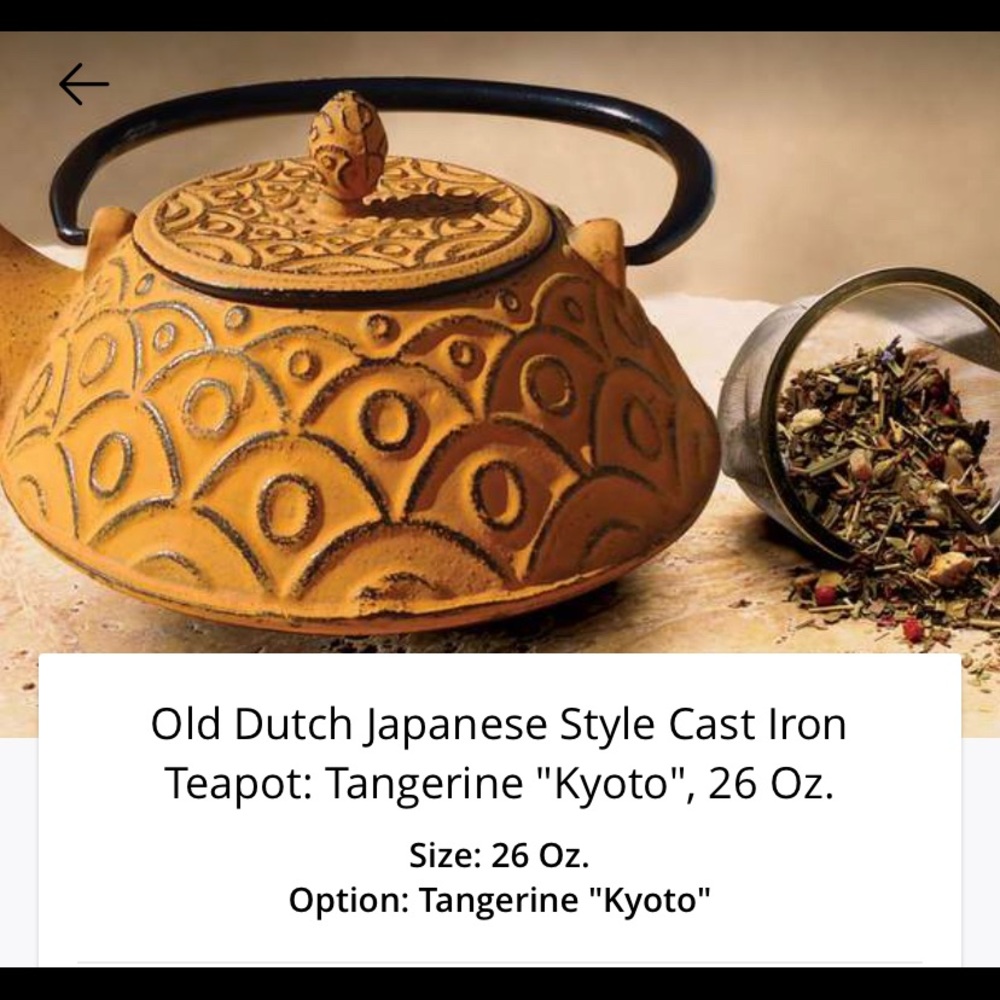 Old Dutch Japanese style cast iron teapot: tangerine “Kyoto”